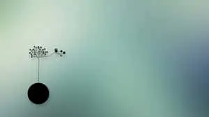 1920 X 1080 Minimalist Plant And Bird