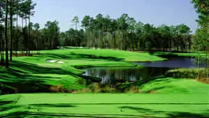 Enjoying a Round of Golf Under the Sunny Skies