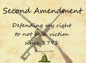 2nd Amendment Rights
