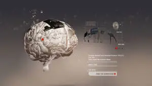 3D Gray Cerebral Graphic