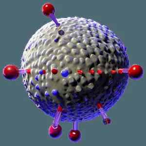 3D Nucleus Model PNG frm31