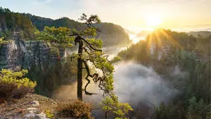 Enjoy the beautiful sunrise over a peaceful, natural landscape