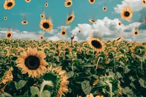 Get motivated with this rustic yet modern aesthetic desktop wallpaper