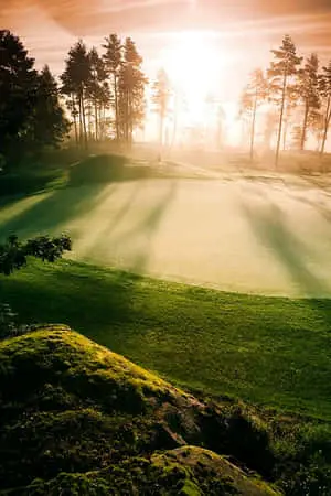 Android Golf Course Background Morning Sun