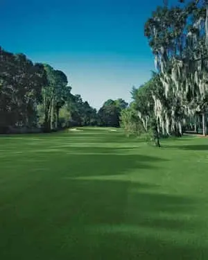 Tranquil Golf Course with Sunrise Backdrop on Android Wallpaper