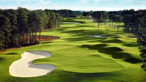 Awesome Green Golf Course