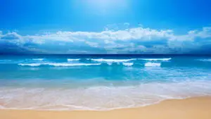 The Never-Ending Beauty of the Beach 