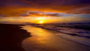 Orange Beach Sunset Desktop