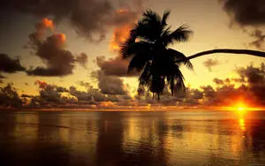 Beach Sunset On Full HD Computer Desktop