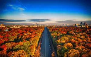 Follow the Autumn Road in Berlin