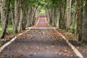 Big 3D Desktop Empty Road