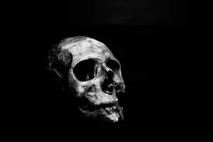 Big 3D Desktop Human Skull