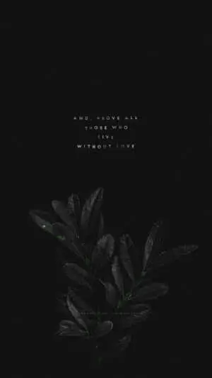 a black background with a quote on it
