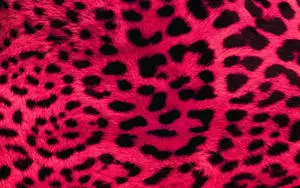 Black And Pink Aesthetic Rosette Patterns