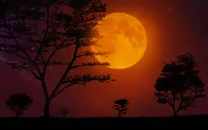 Blazing Moon Night Sky