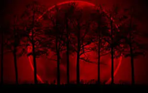 Tree Silhouette Blood Moon