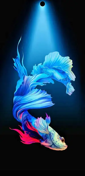 Blue Betta Fish Punch Hole 4K