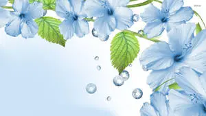 Blue Flower With Droplets