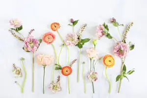 Bright Colored Flowers On Floral Desktop