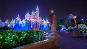 Bright Pathway Walt Disney World Desktop