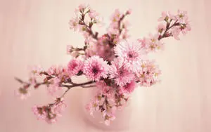 Bright Pink Floral Desktop