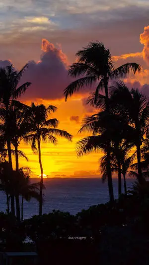 Briliant Island View Of Sunset Ocean
