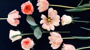 a bunch of pink flowers are arranged on a black surface