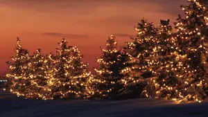 Christmas Aesthetic Desktop Red Sky