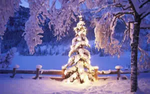 A Magical Christmas Desktop Background
