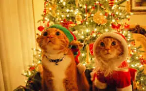 Christmas Desktop background