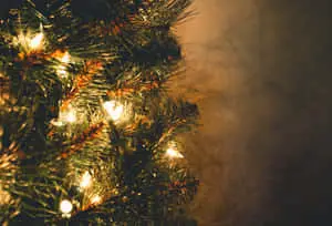  Caption: Enchanting Christmas Setting 