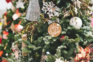 White Decor Christmas Photo Background