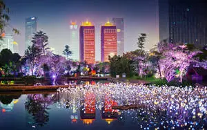 City Lights In Full HD Computer Desktop