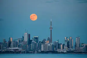 City Night Moon