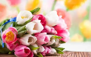 A breathtaking display of vibrant multicolored flowers in full bloom