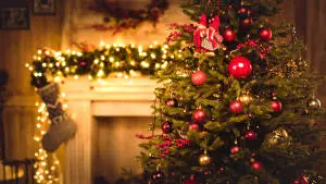 Cool And Cozy Christmas Tree Desktop
