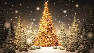 Cool Shiny Christmas Trees Desktop