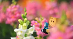 Delightful Collection of Cute HD Backgrounds