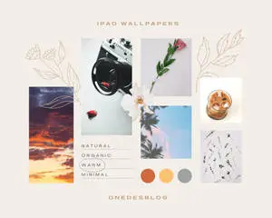 Cute Simple Aesthetic IPad Collage Art Desktop