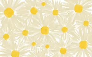 a white background with yellow daisies
