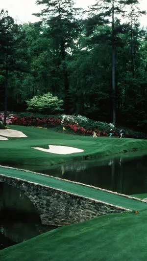 Dark Green Golf Course IPhone
