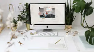 Aesthetic Desktop Setup Picture