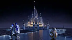 Enjoy the beauty of Disney World from your Desktop