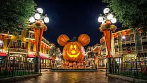 Disneyland pictures