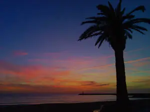 Dusk Beach Desktop
