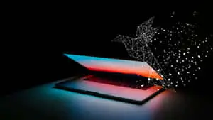 Ethical Or Appropriate Tech Art