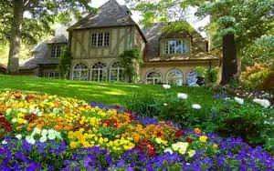 Colorful Flowers Near A Farmhouse Desktop