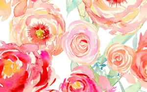 watercolor roses on a white background