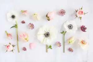 Floral Desktop With Various Flowers
