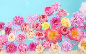 a large arrangement of pink and yellow flowers in a blue pool